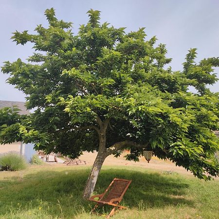 Le Clos Champetre Longue ภายนอก รูปภาพ
