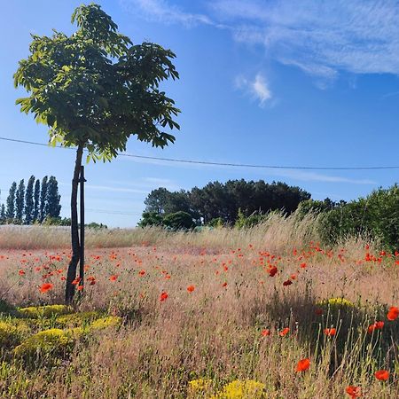 Le Clos Champetre Longue ภายนอก รูปภาพ