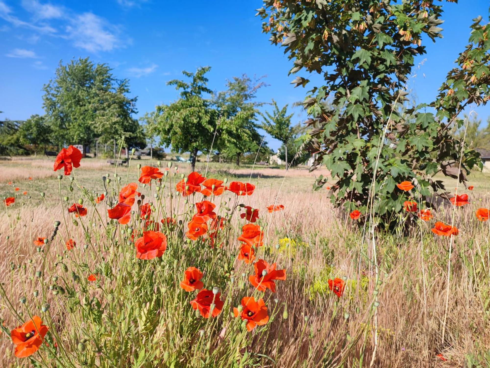 Le Clos Champetre Longue ภายนอก รูปภาพ