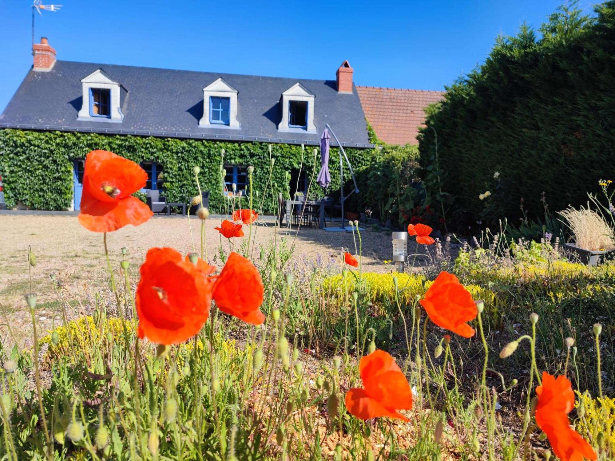 Le Clos Champetre Longue ภายนอก รูปภาพ