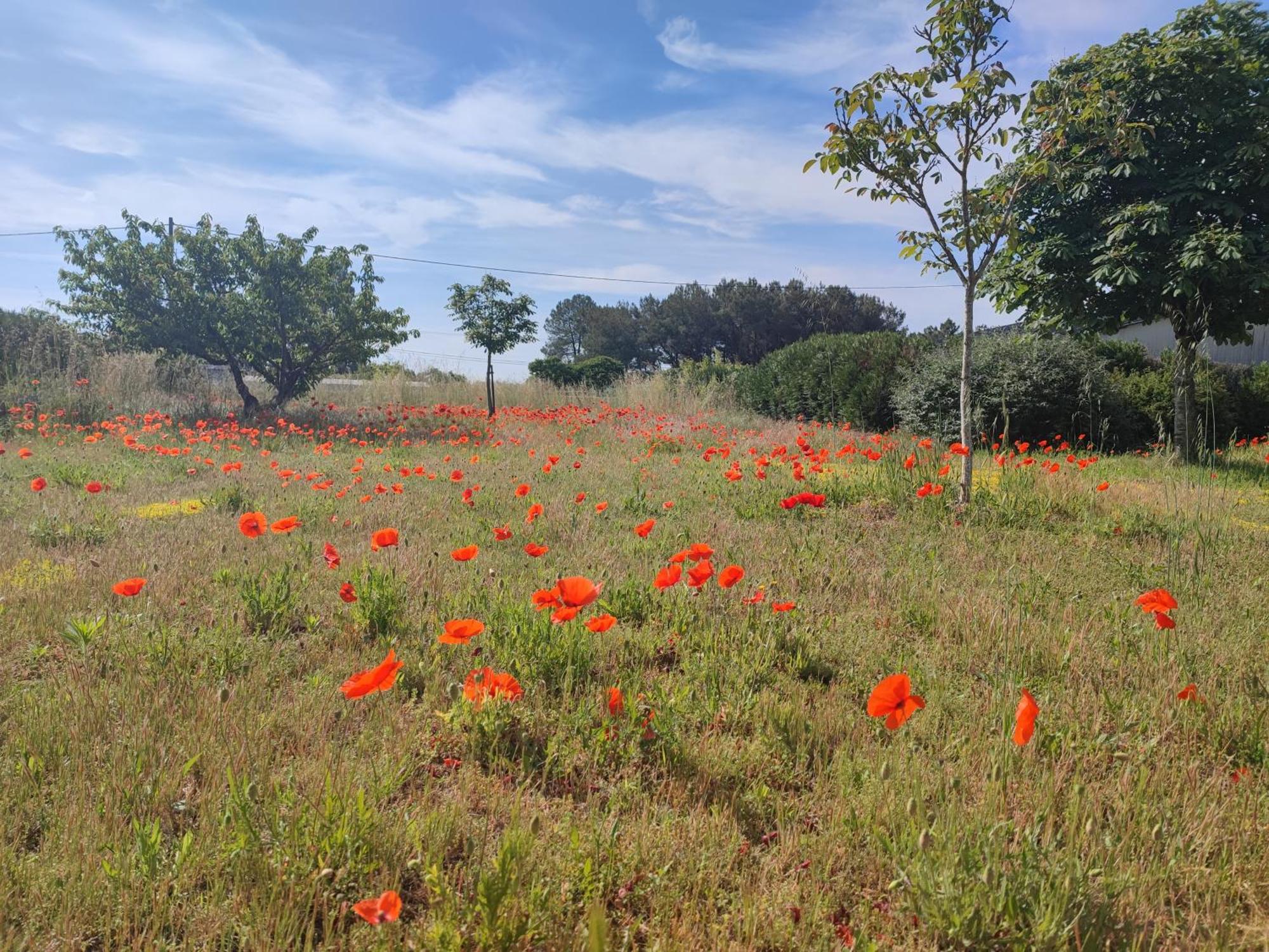 Le Clos Champetre Longue ภายนอก รูปภาพ