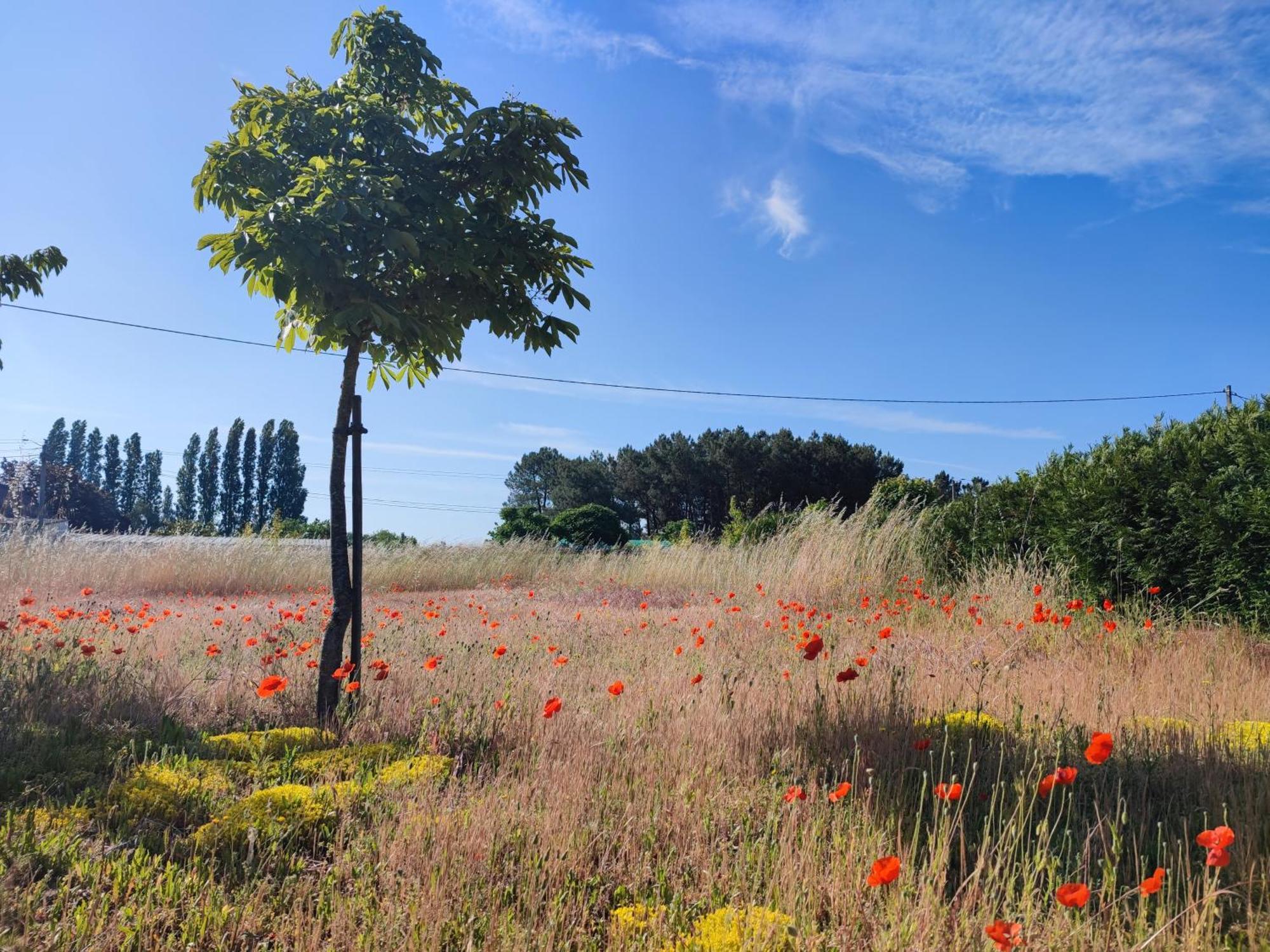 Le Clos Champetre Longue ภายนอก รูปภาพ